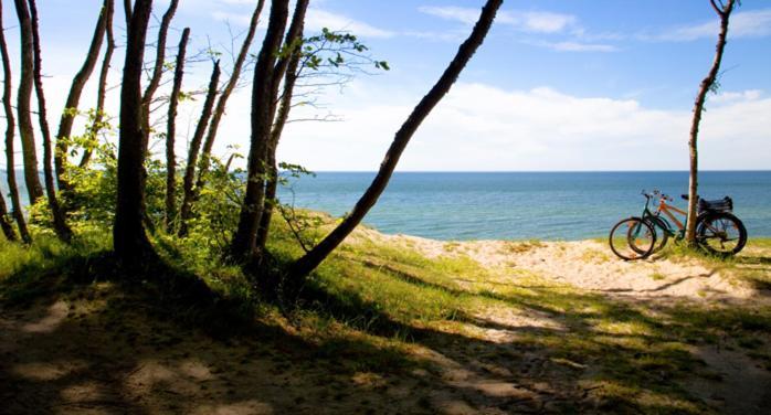 Apartament Premium Green Dune W Porto Łeba Exteriör bild
